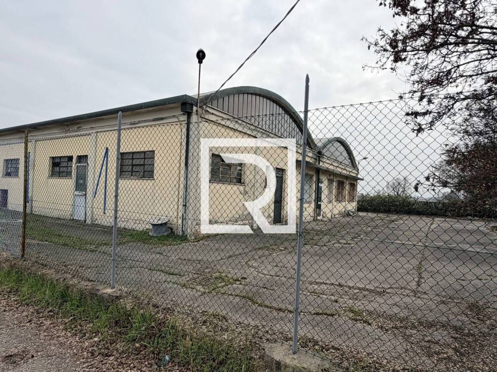 immagine annuncio 1 di 4