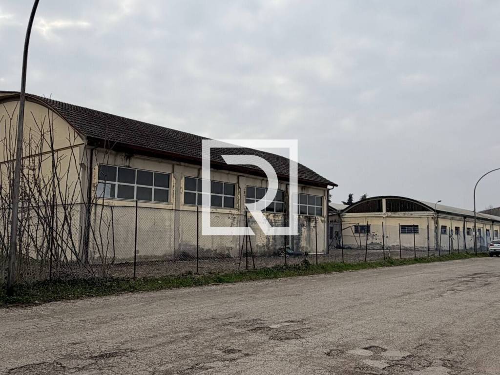 immagine annuncio 2 di 4