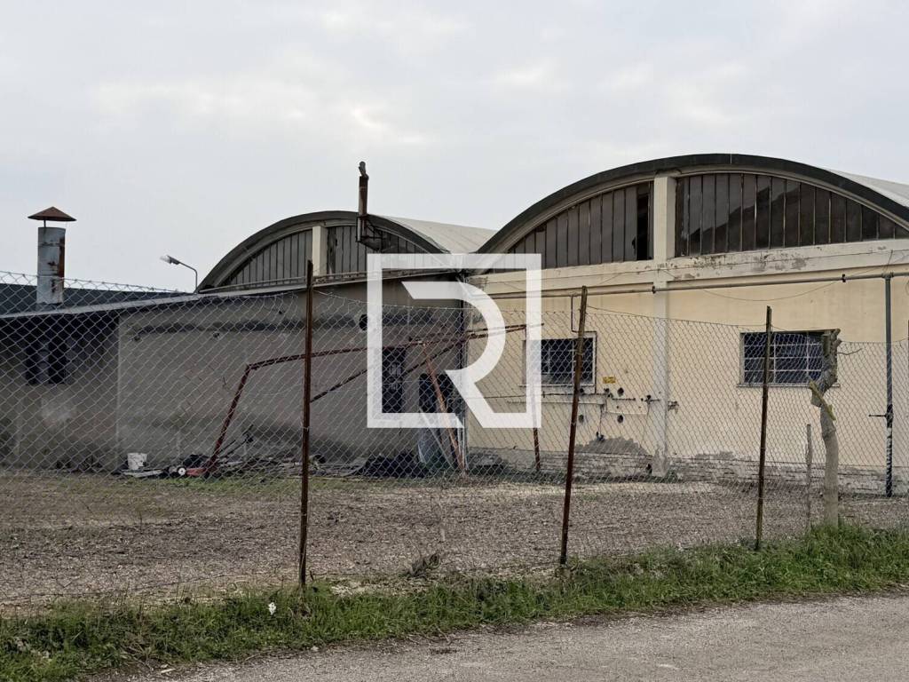 immagine annuncio 3 di 4