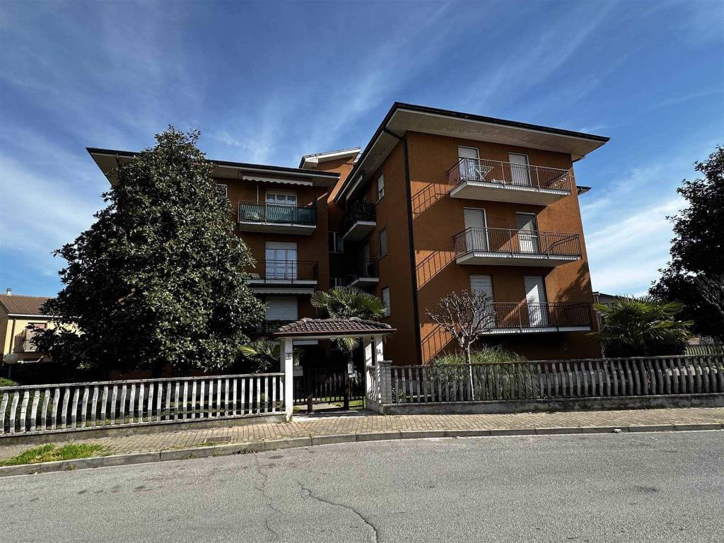 immagine annuncio 3 di 5