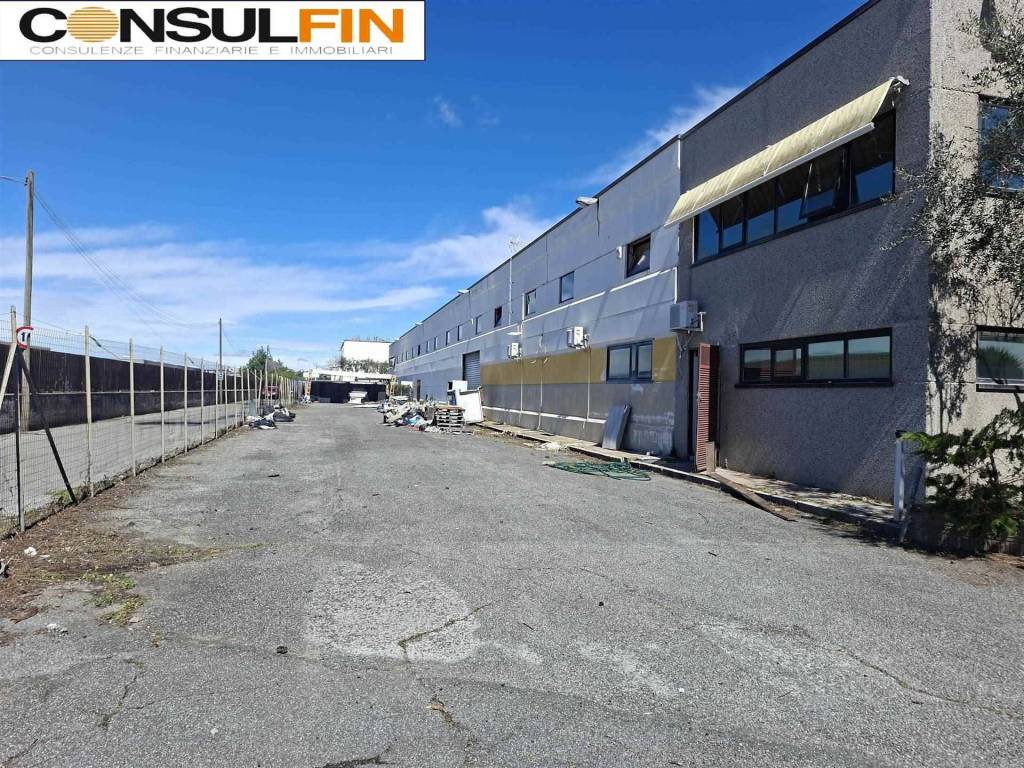 immagine annuncio 3 di 5