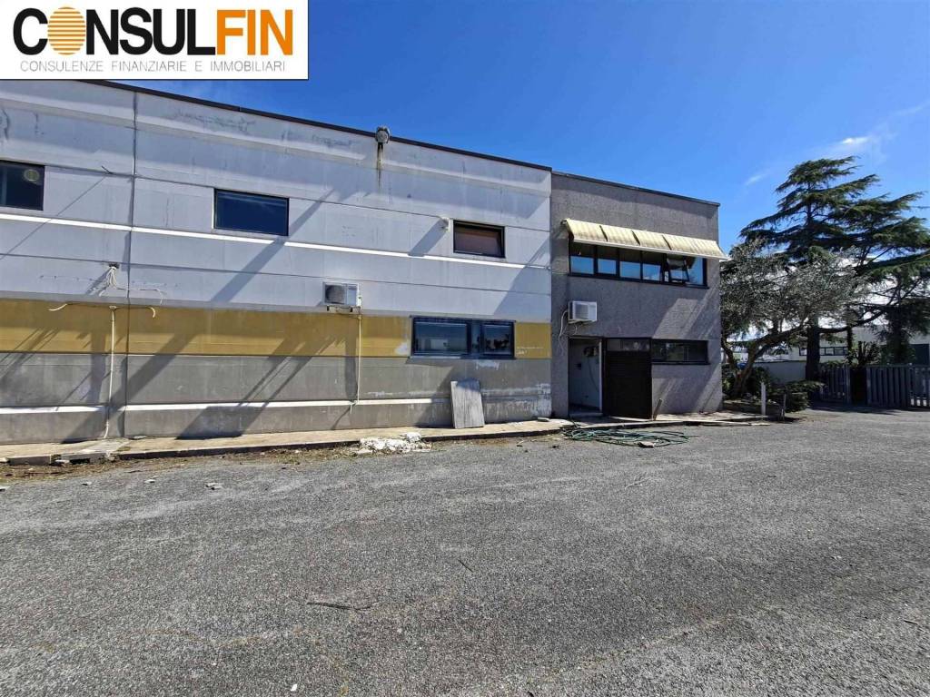 immagine annuncio 4 di 5