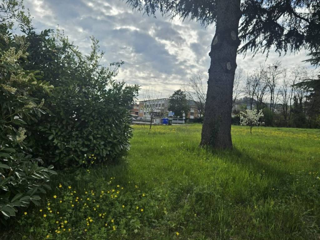 immagine annuncio 1 di 3