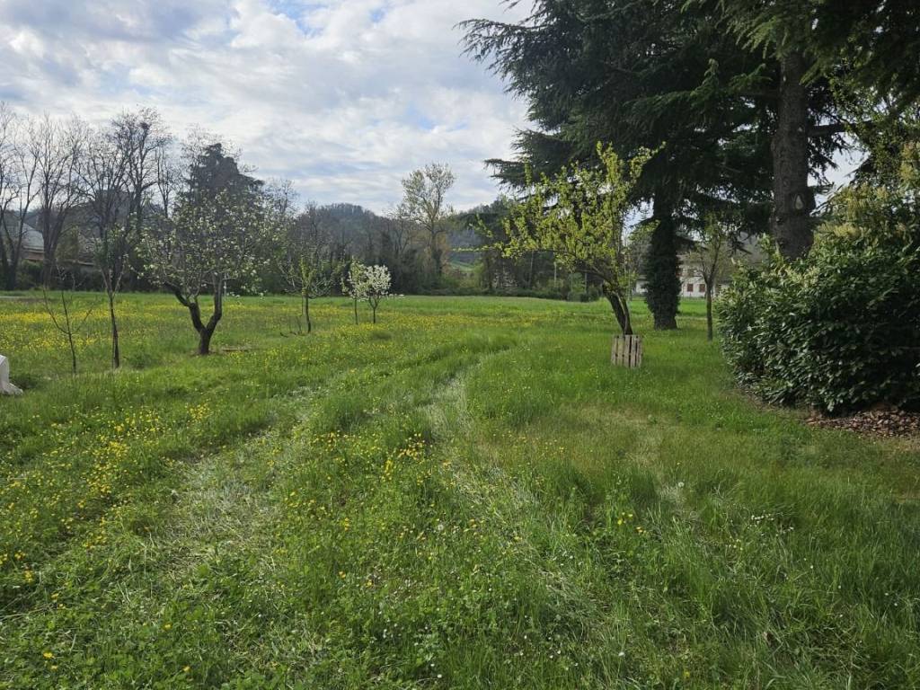 immagine annuncio 2 di 3