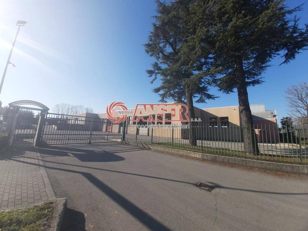 immagine annuncio 3 di 5