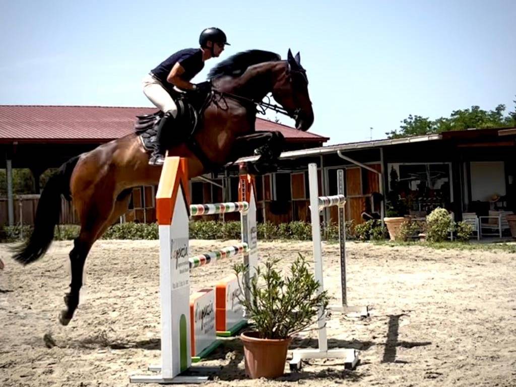 immagine annuncio 2 di 3