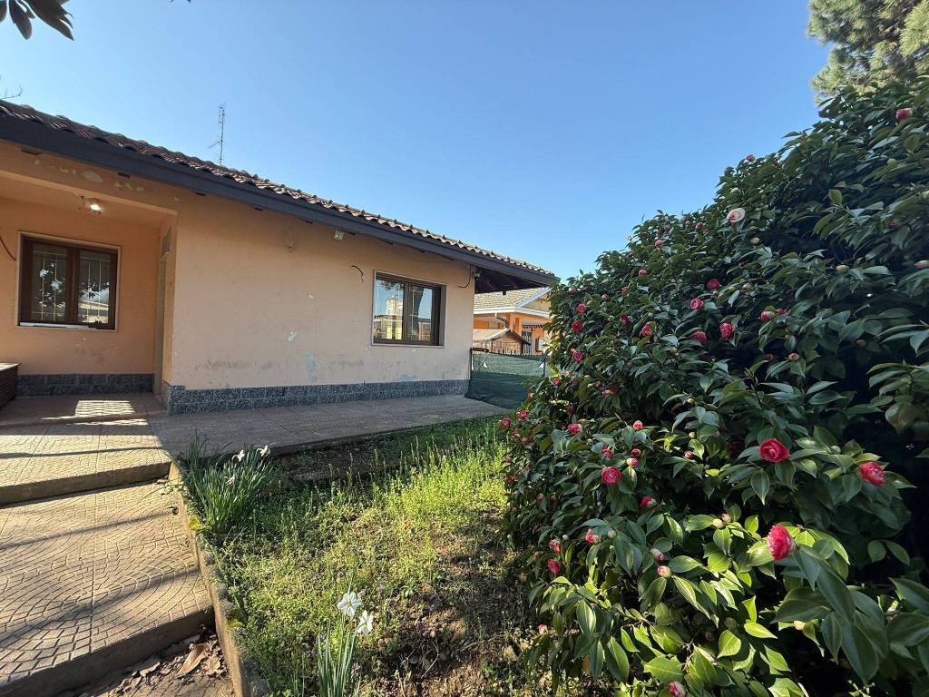 immagine annuncio 2 di 5