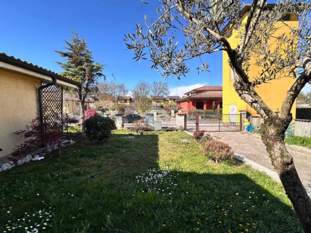 immagine annuncio 1 di 5