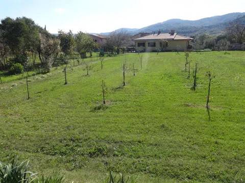 immagine annuncio 1 di 4