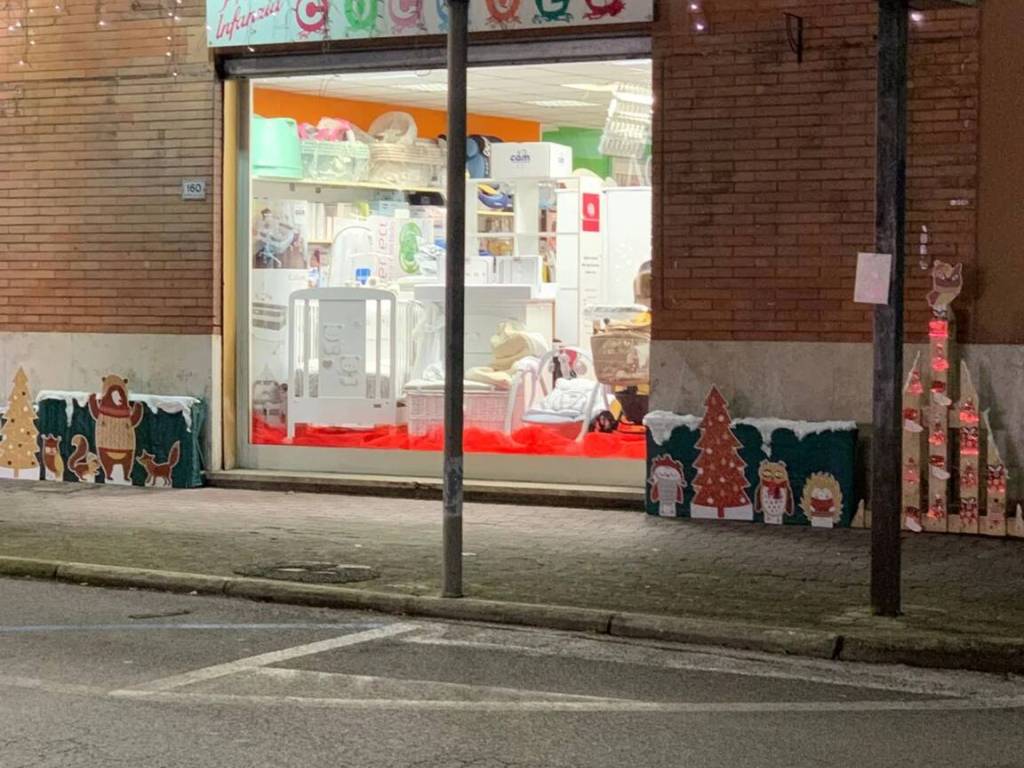 immagine annuncio 2 di 4