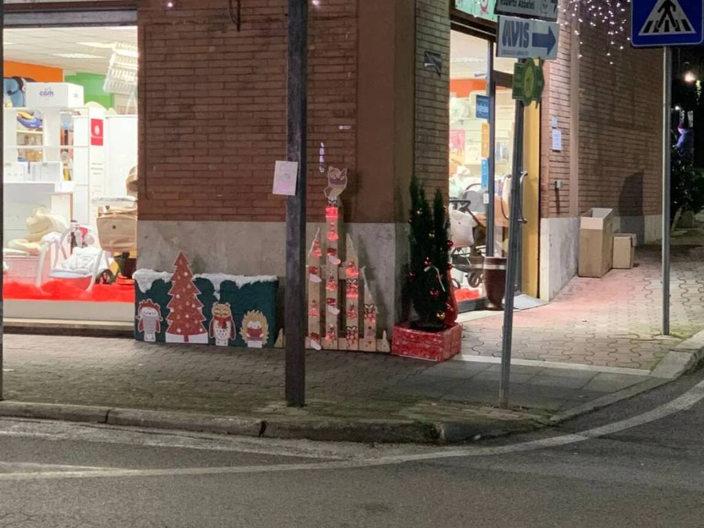 immagine annuncio 3 di 4