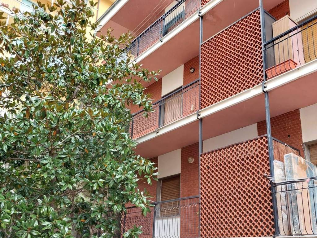 immagine annuncio 1 di 3