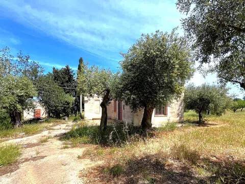 immagine annuncio 1 di 2