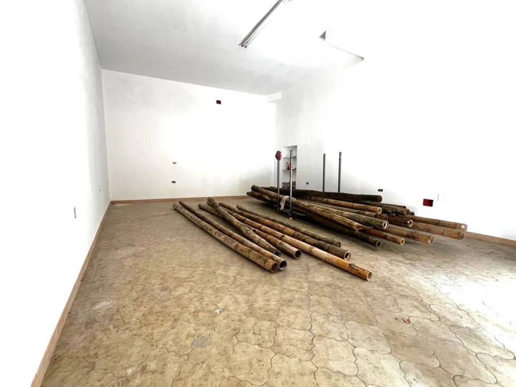 immagine annuncio 1 di 4