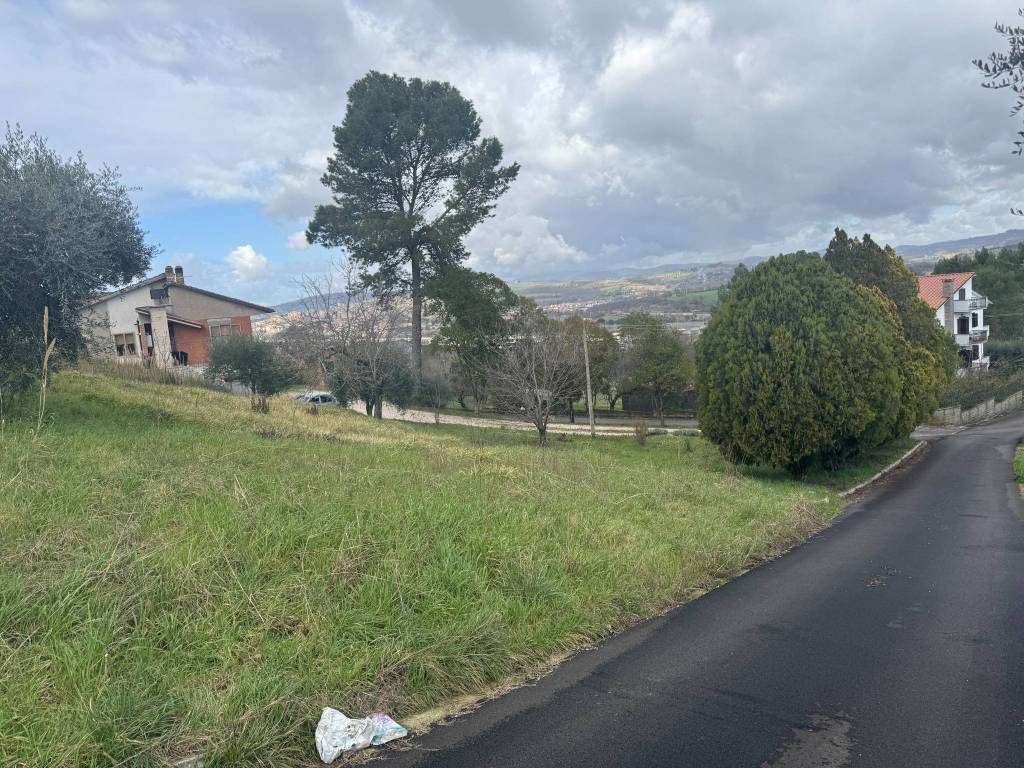 immagine annuncio 2 di 4