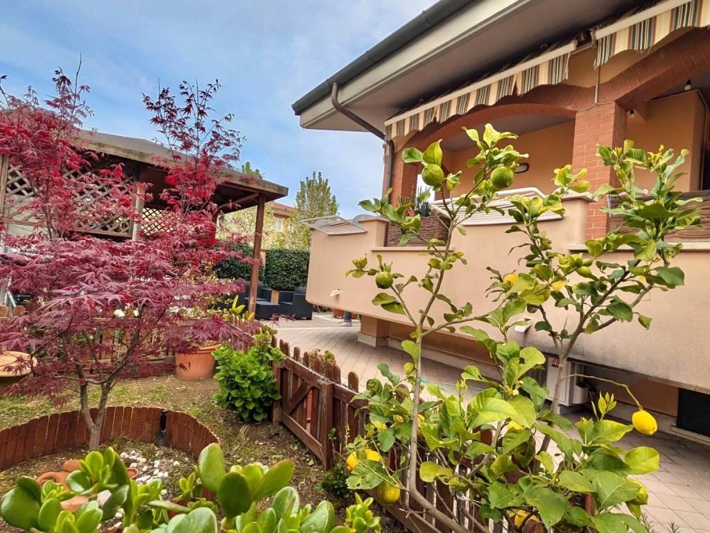 immagine annuncio 3 di 5