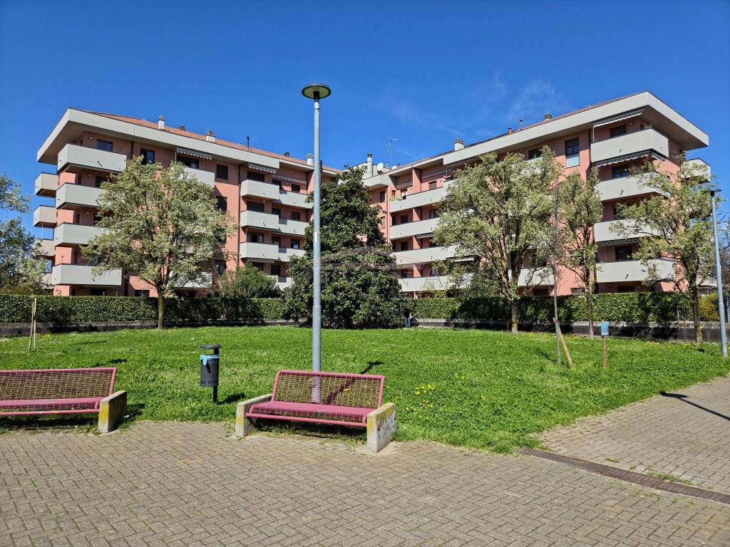 immagine annuncio 2 di 5