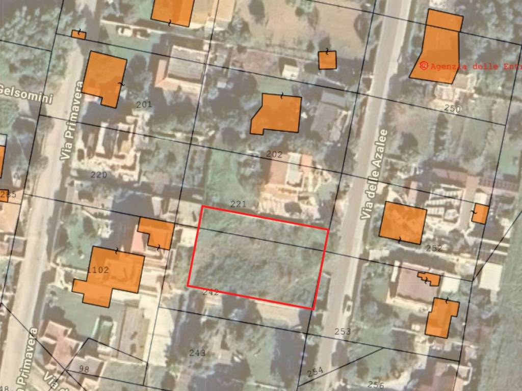 immagine annuncio 1 di 2