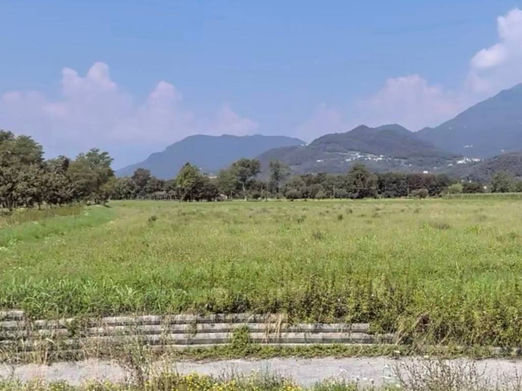 immagine annuncio 1 di 4