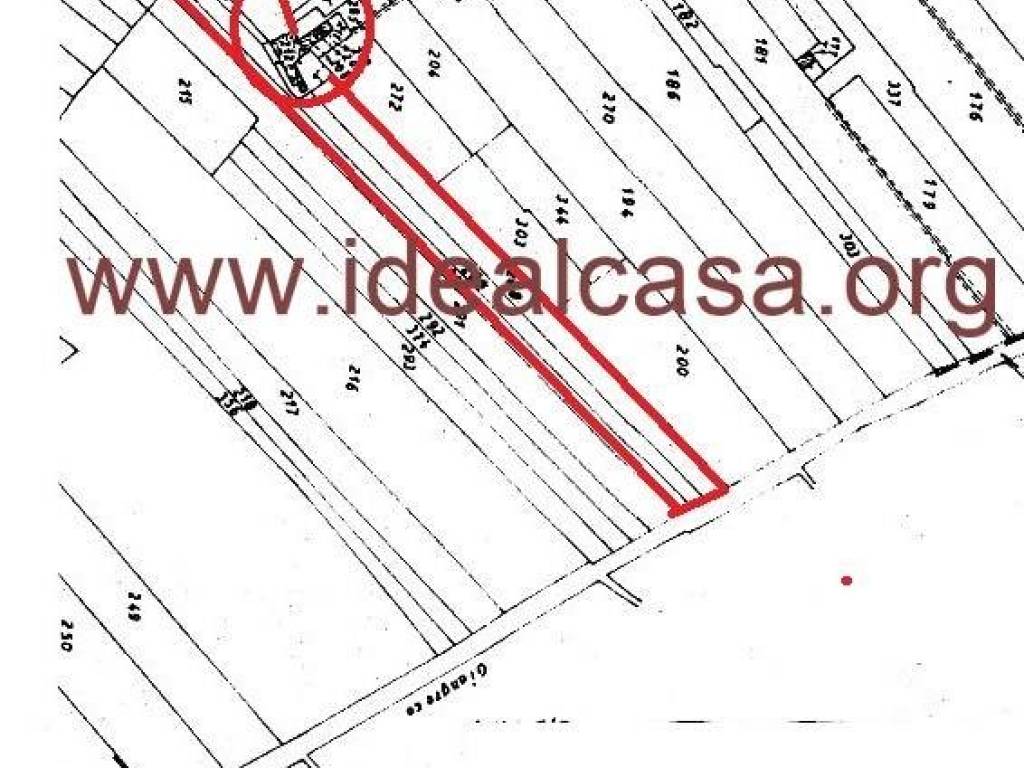 immagine annuncio 1 di 2