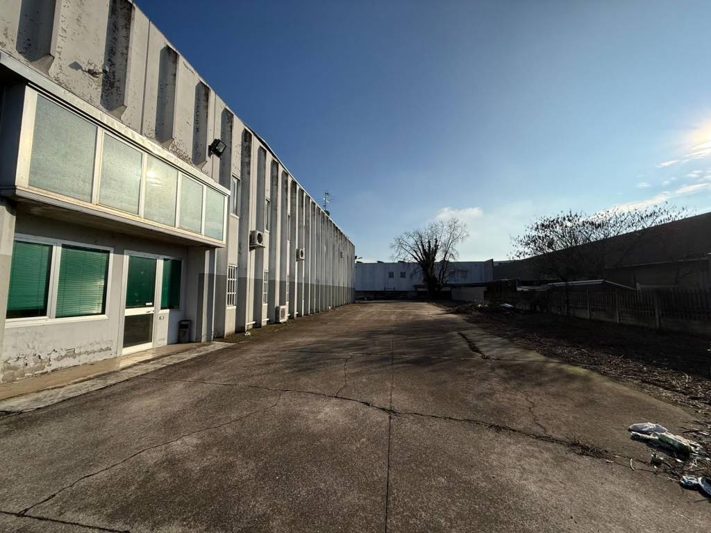 immagine annuncio 3 di 5