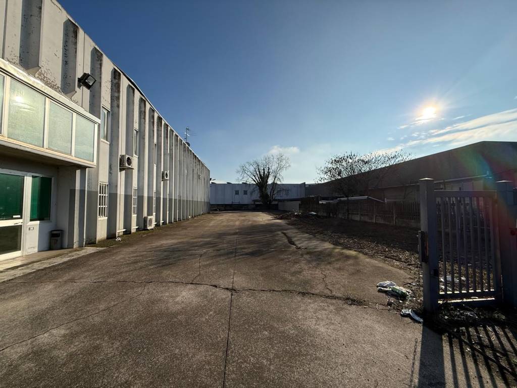 immagine annuncio 4 di 5