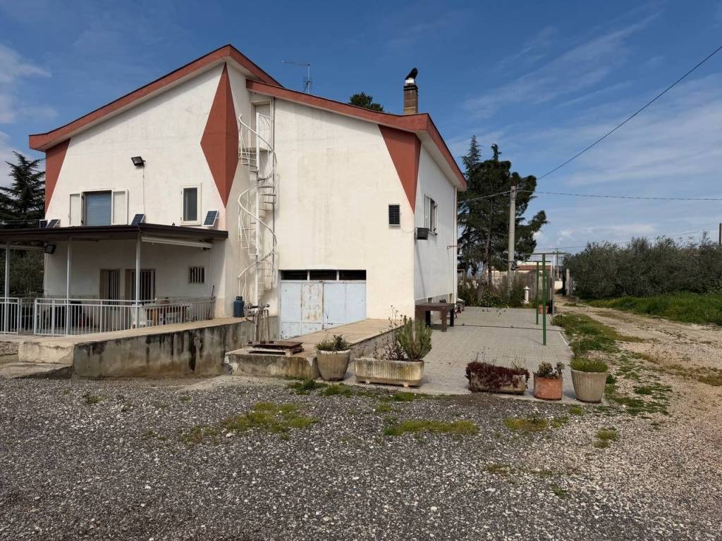 immagine annuncio 3 di 5