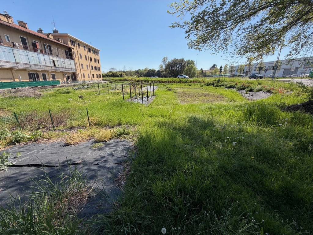 immagine annuncio 1 di 4