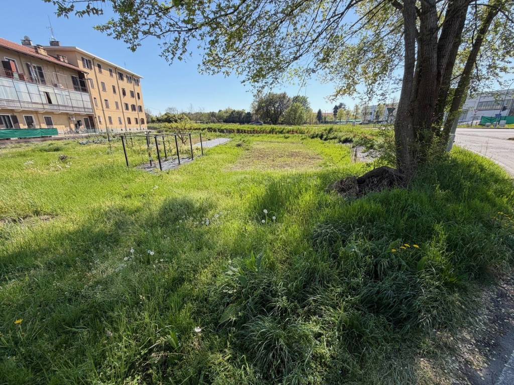 immagine annuncio 2 di 4