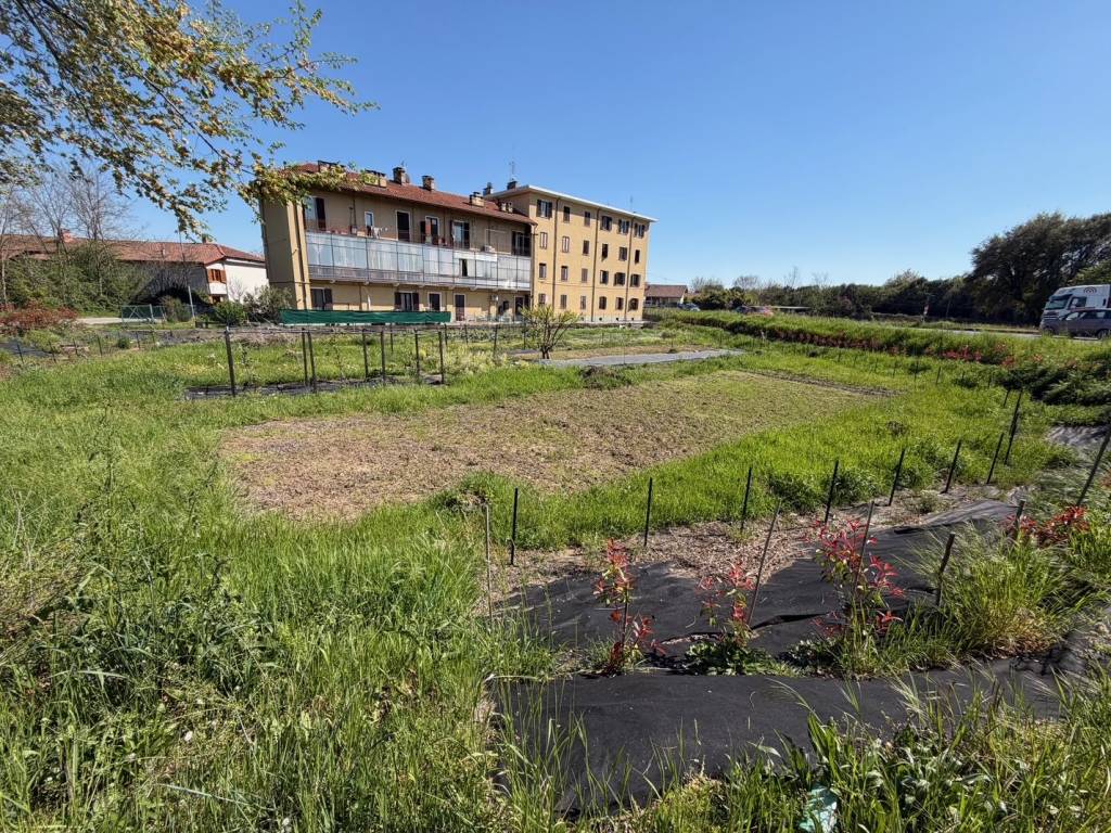 immagine annuncio 3 di 4