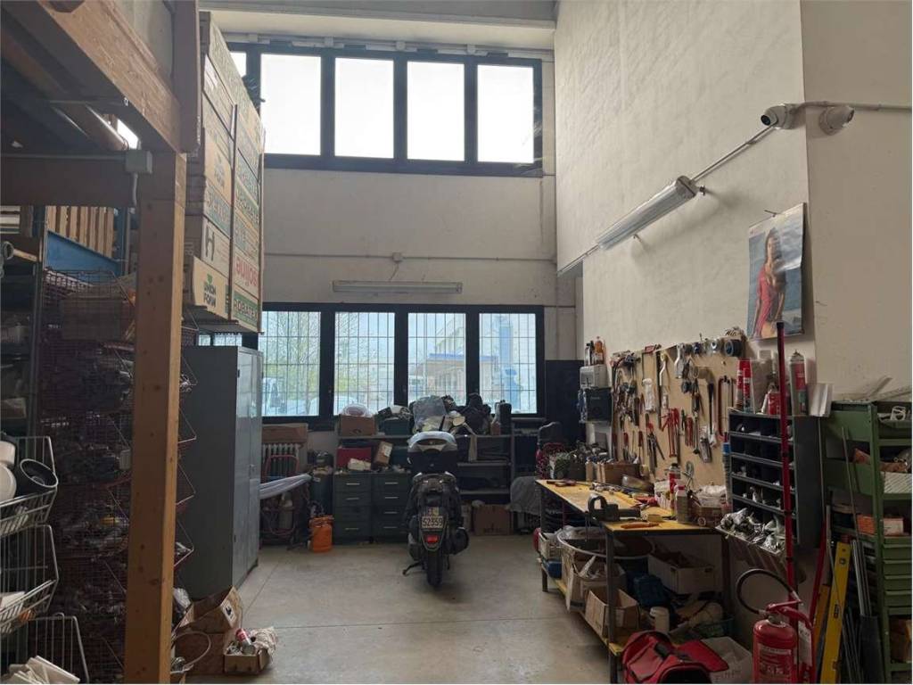 immagine annuncio 3 di 5