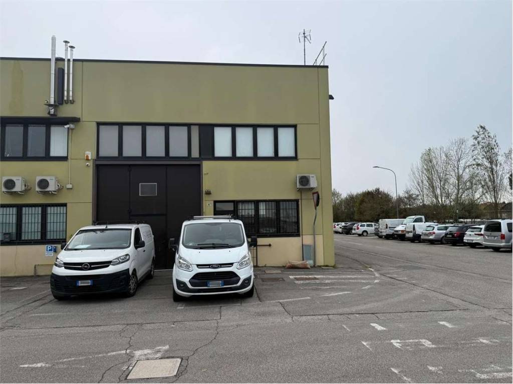 immagine annuncio 2 di 5