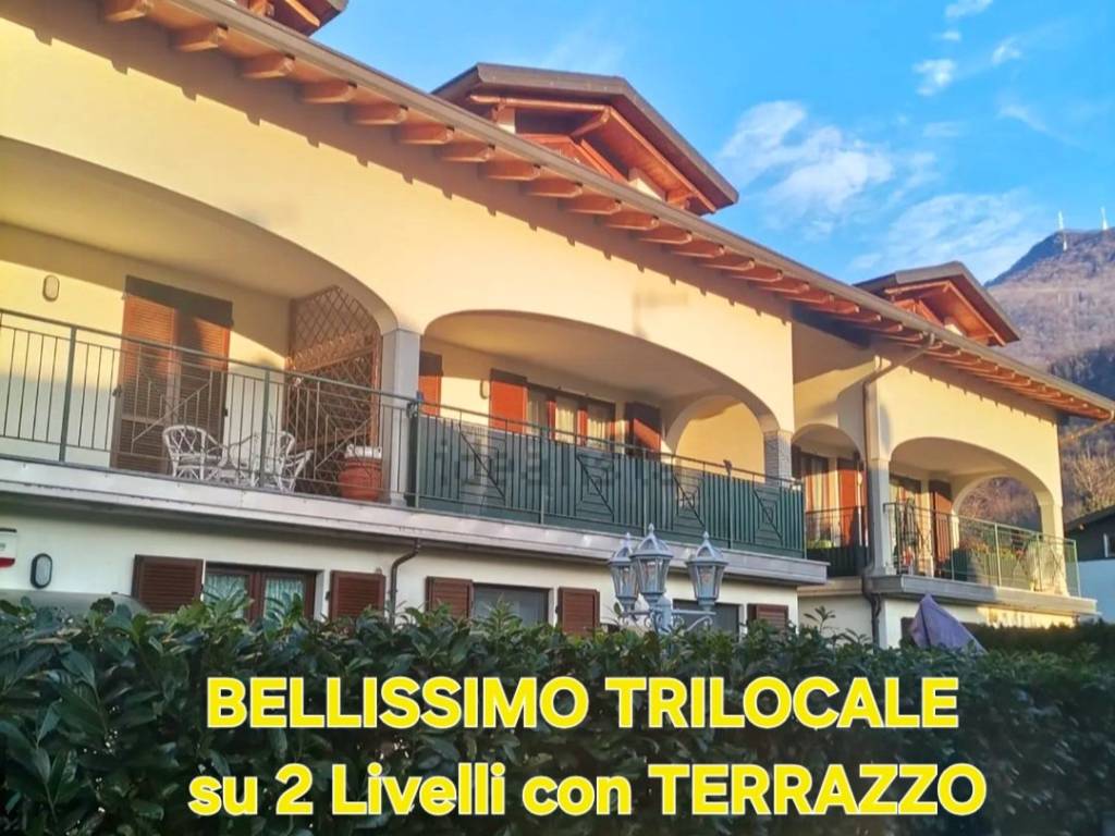 immagine annuncio 2 di 5