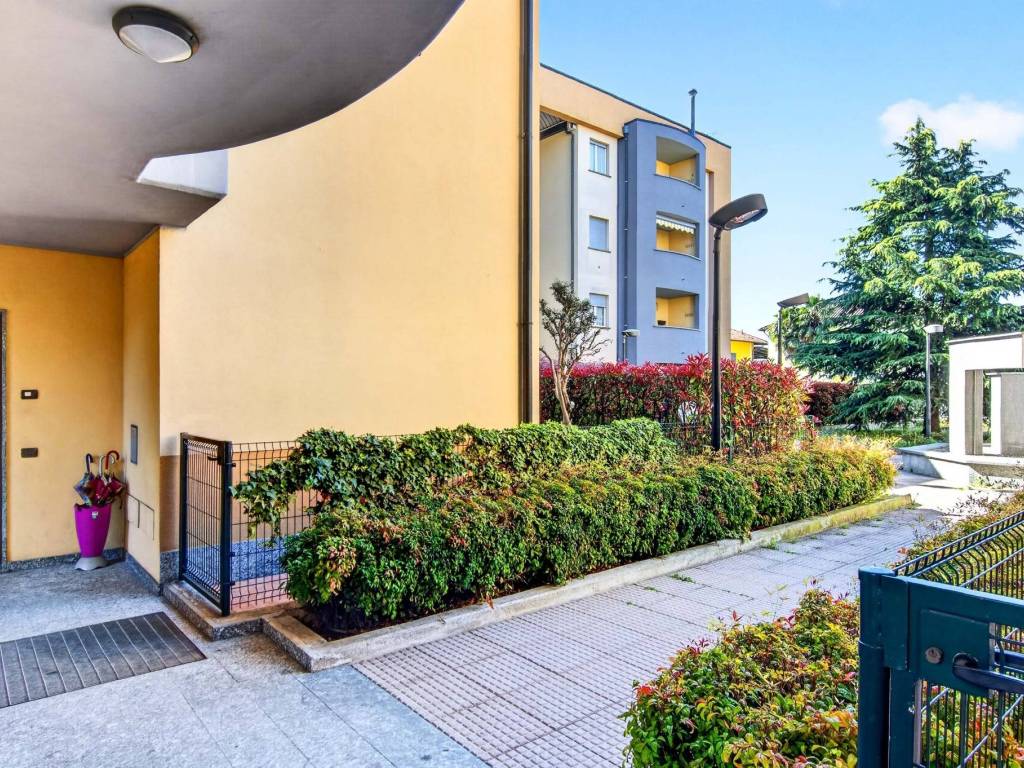 immagine annuncio 4 di 5