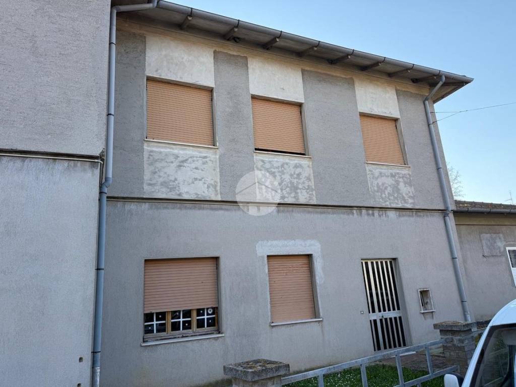 immagine annuncio 1 di 2