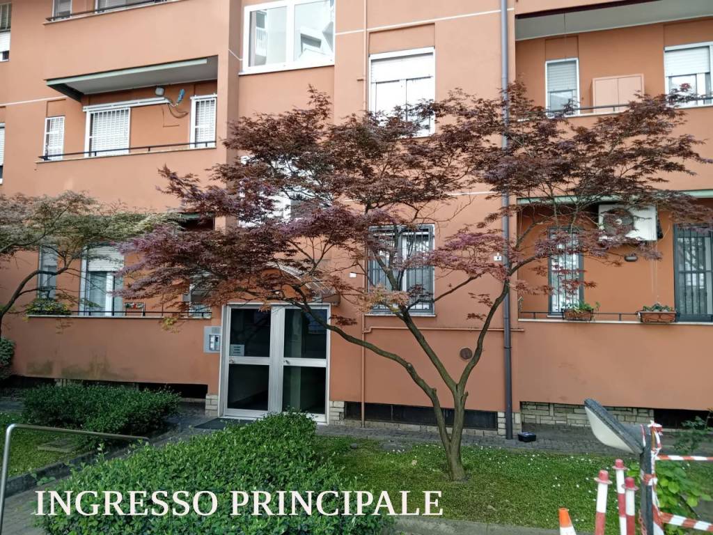 immagine annuncio 2 di 5