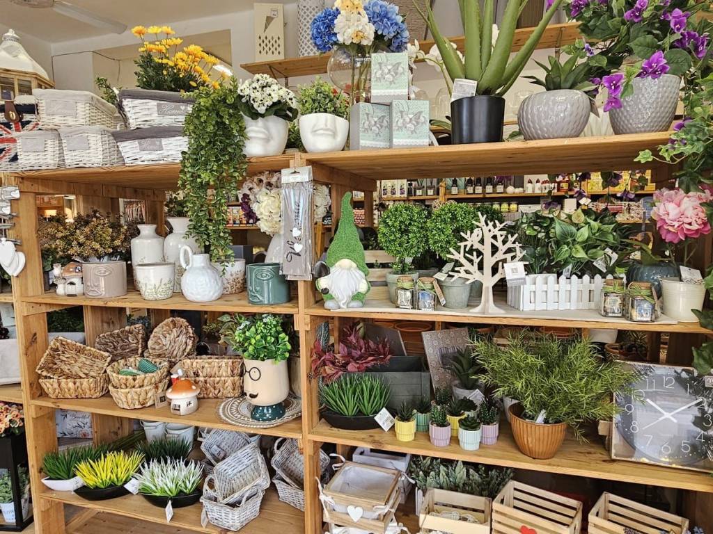 immagine annuncio 2 di 4