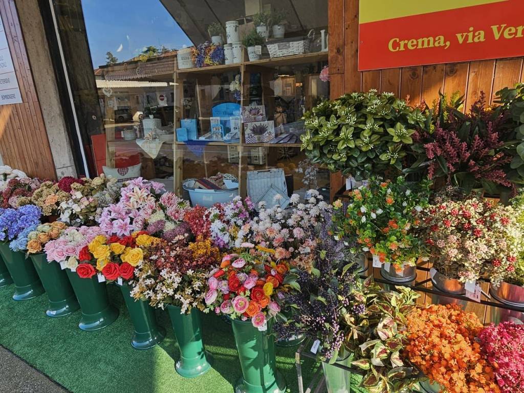 immagine annuncio 3 di 4