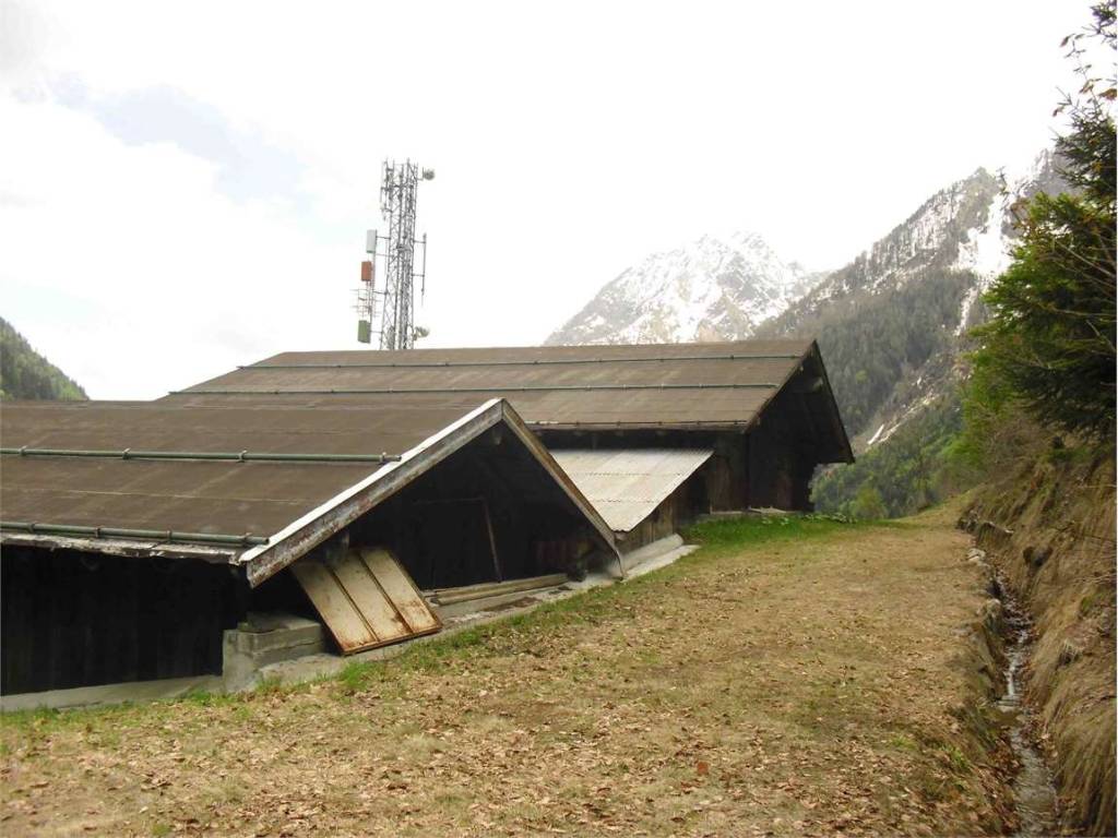 immagine annuncio 4 di 5