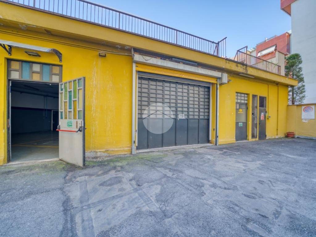 immagine annuncio 3 di 5