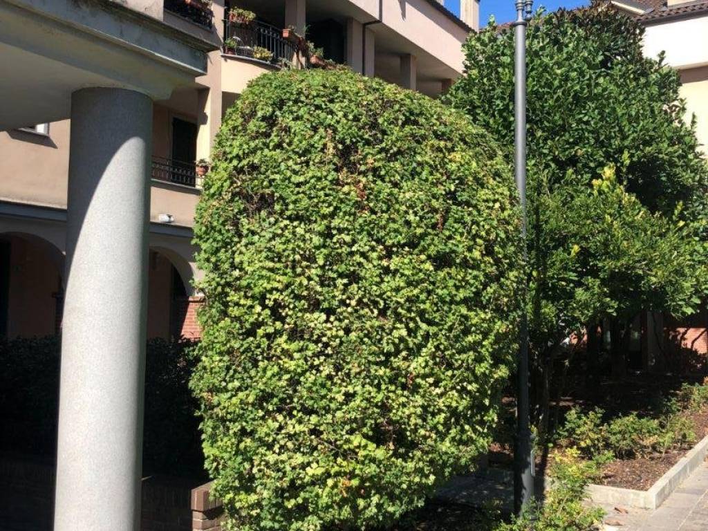 immagine annuncio 1 di 4