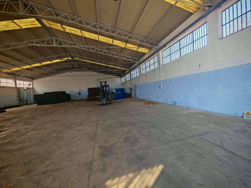 immagine annuncio 2 di 5