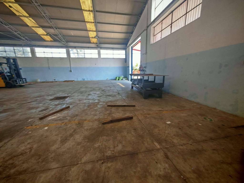 immagine annuncio 4 di 5