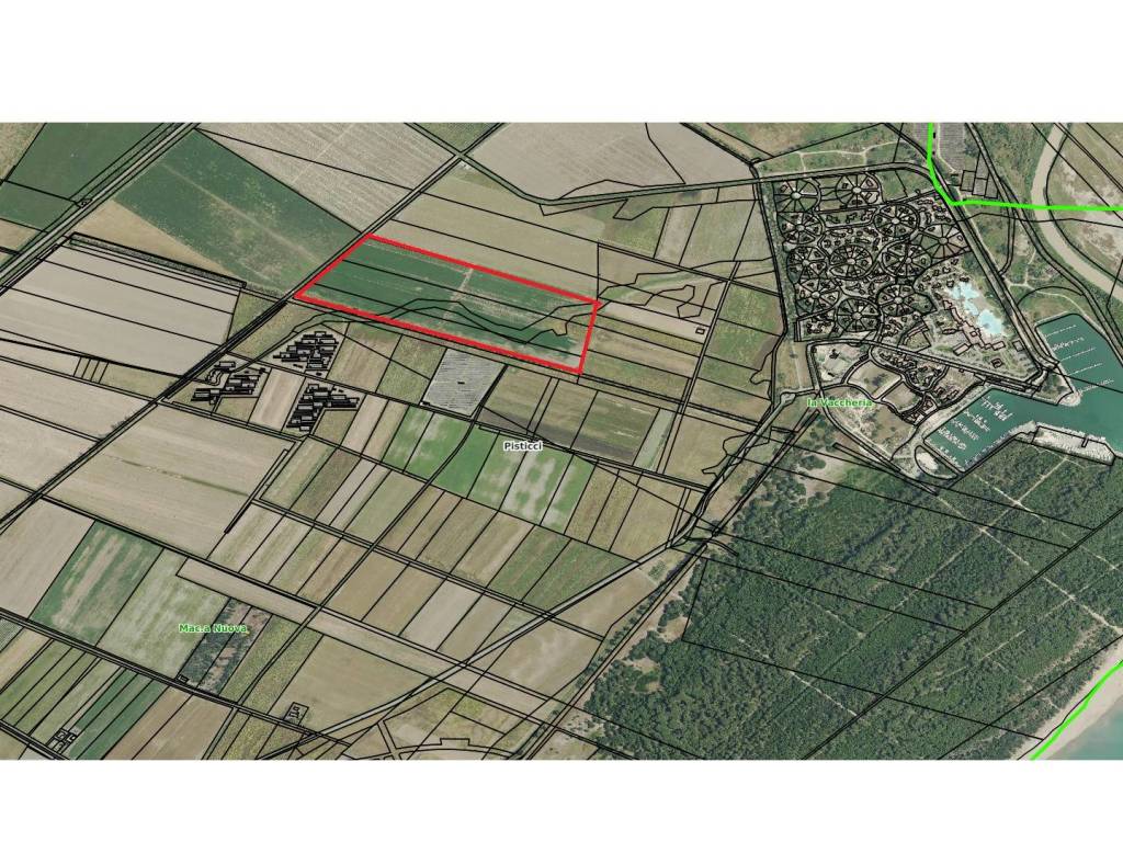 immagine annuncio 3 di 4