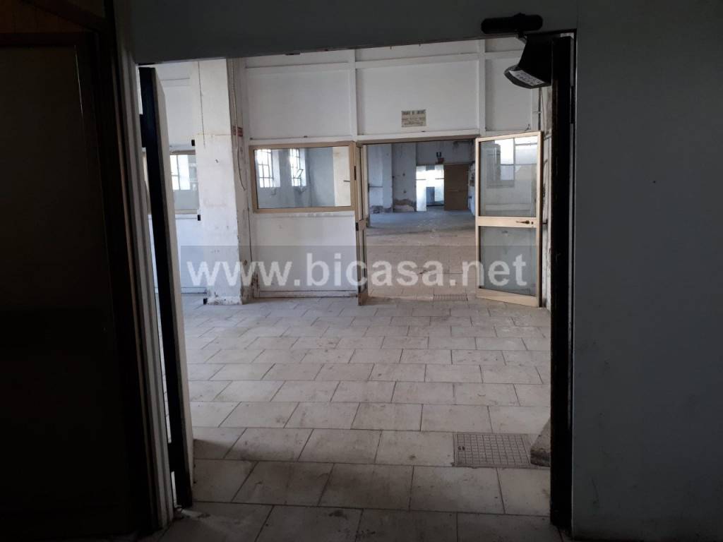 immagine annuncio 2 di 4