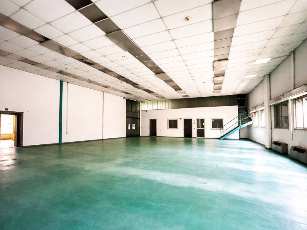 immagine annuncio 2 di 5