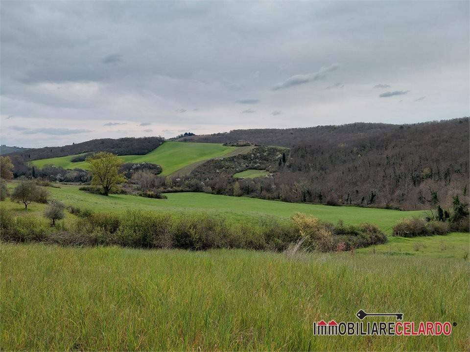 terreno agricolo in vendita a Poggibonsi