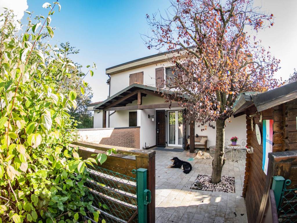 immagine annuncio 2 di 5