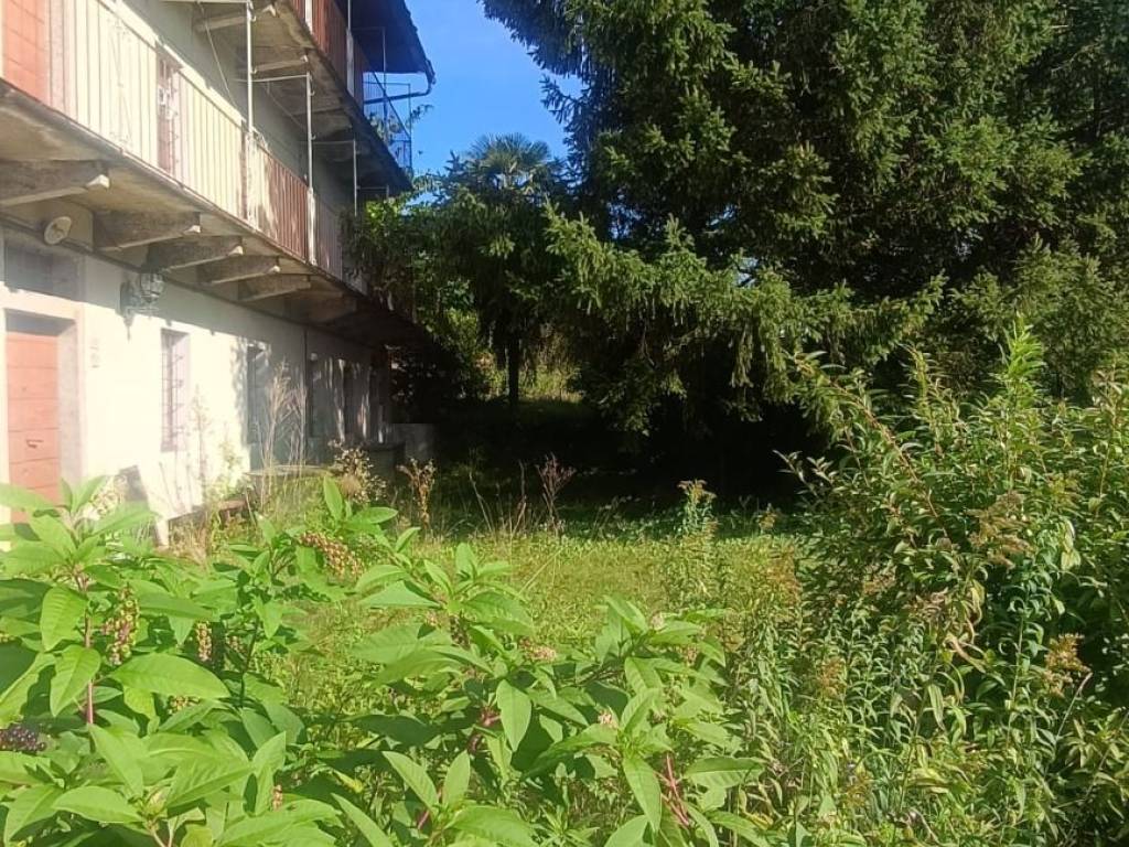 immagine annuncio 1 di 4