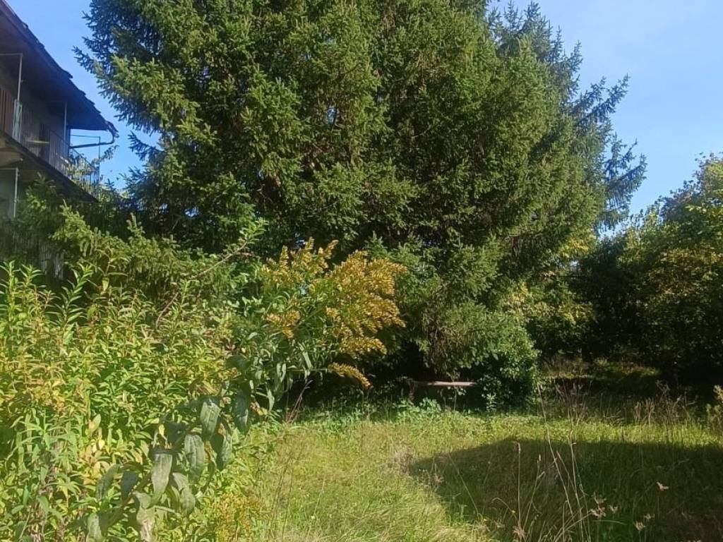 immagine annuncio 3 di 4